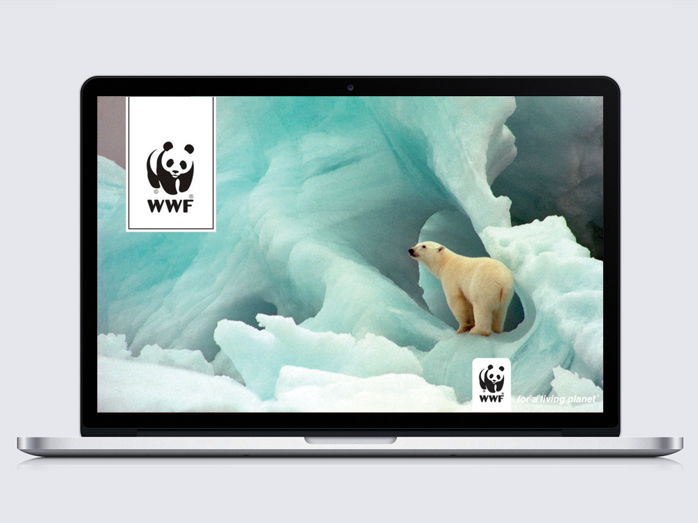 wwf-splash